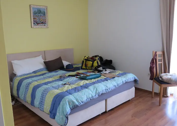 Holidays 1 * Split